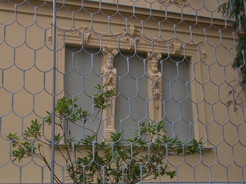 Schuppengeflechtzaun, Schinkelzaun